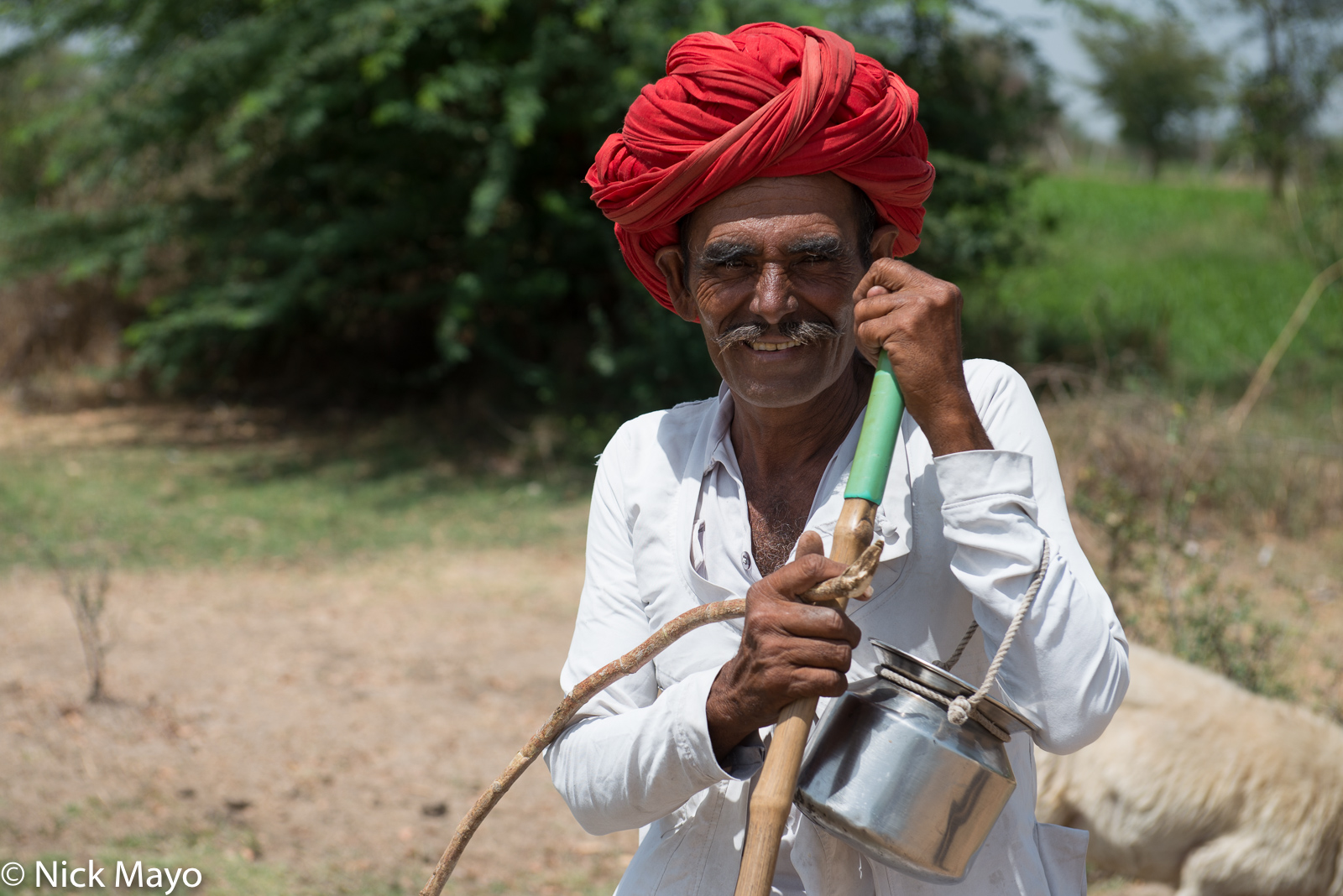 A Rabari shepherd near Pawagadh.