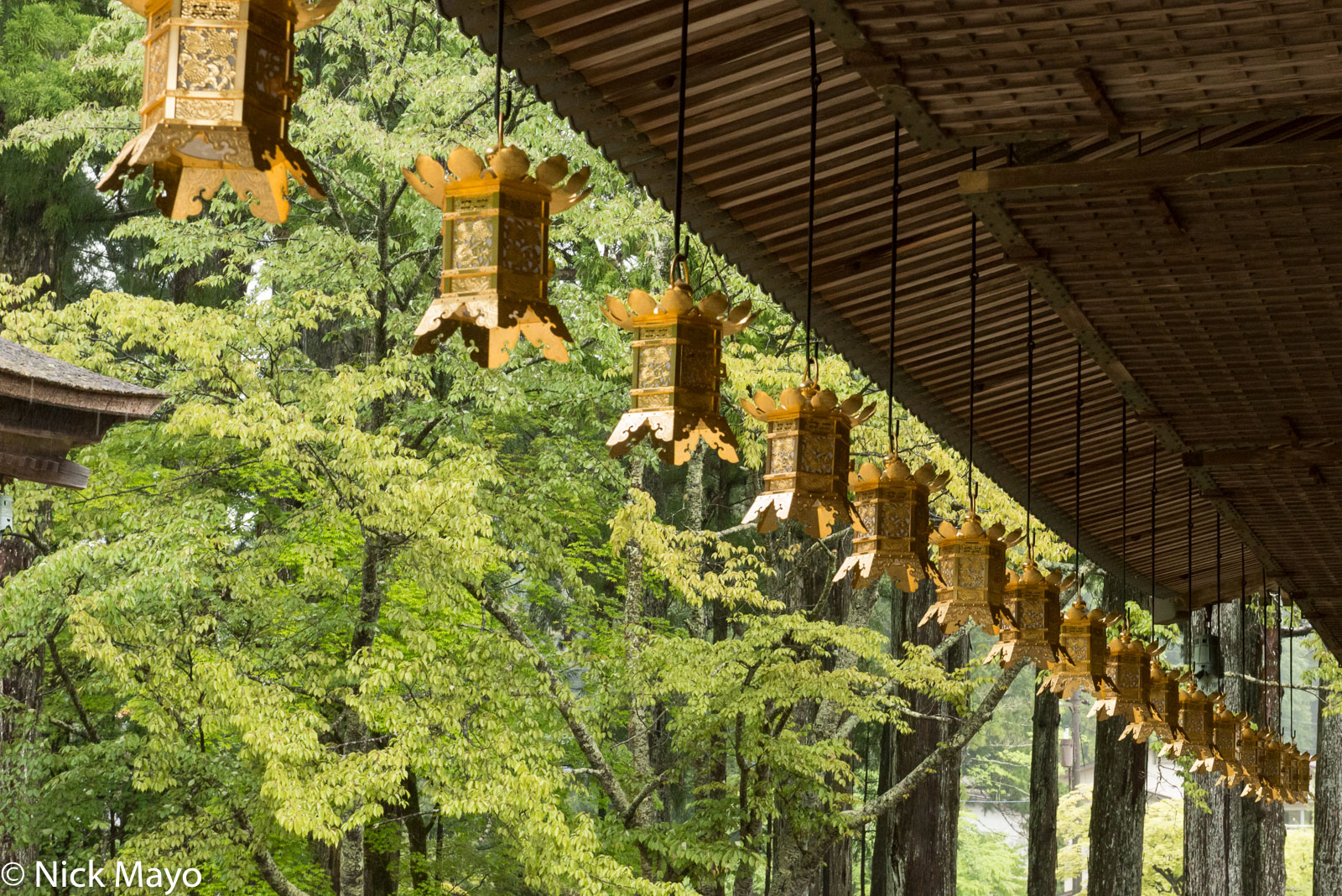 Lanterns hanging from the Miedo hall in the Danjo Garan-on temple complex at Koyasan.