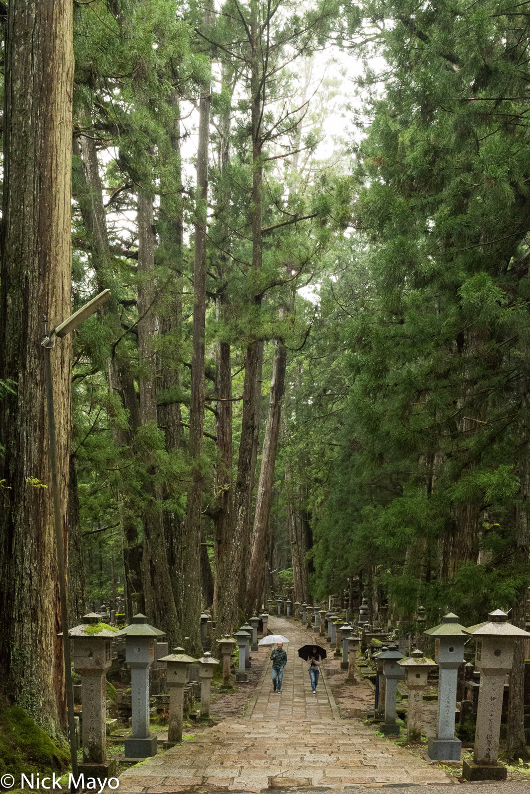 The main walkway of the Okunoin cemetery at Koyasan.