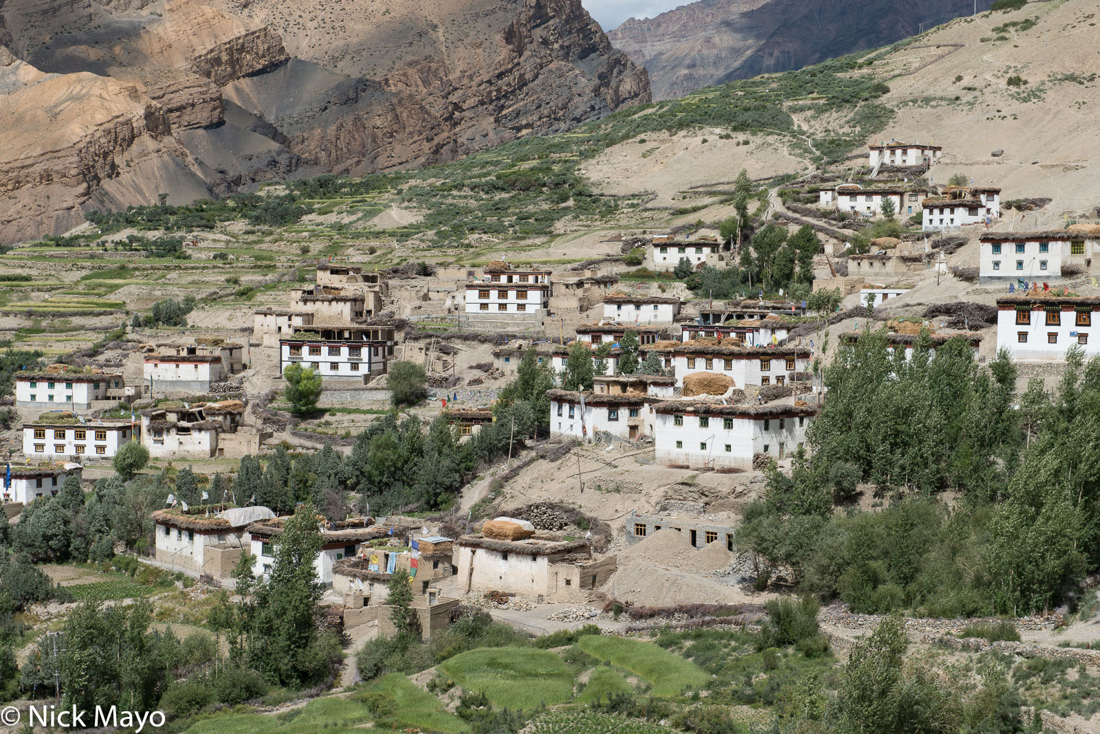 Lhalung village in Spiti.