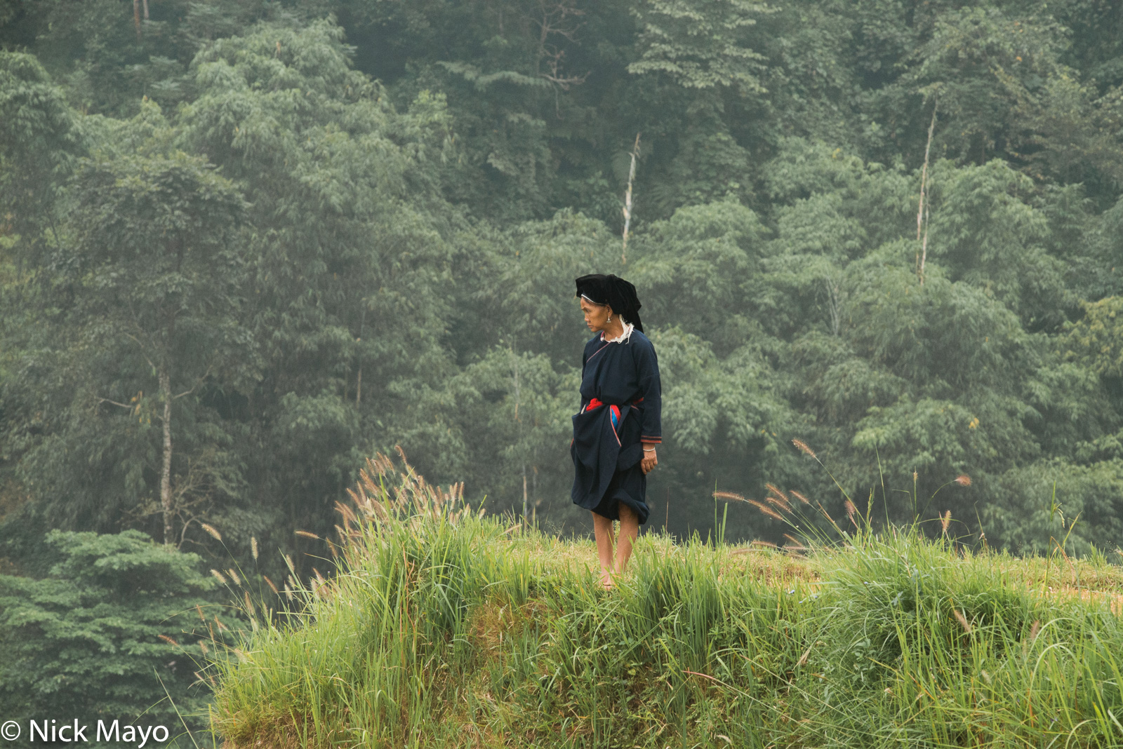 A Dao Ao Dai woman in her field at Suoi Thau.