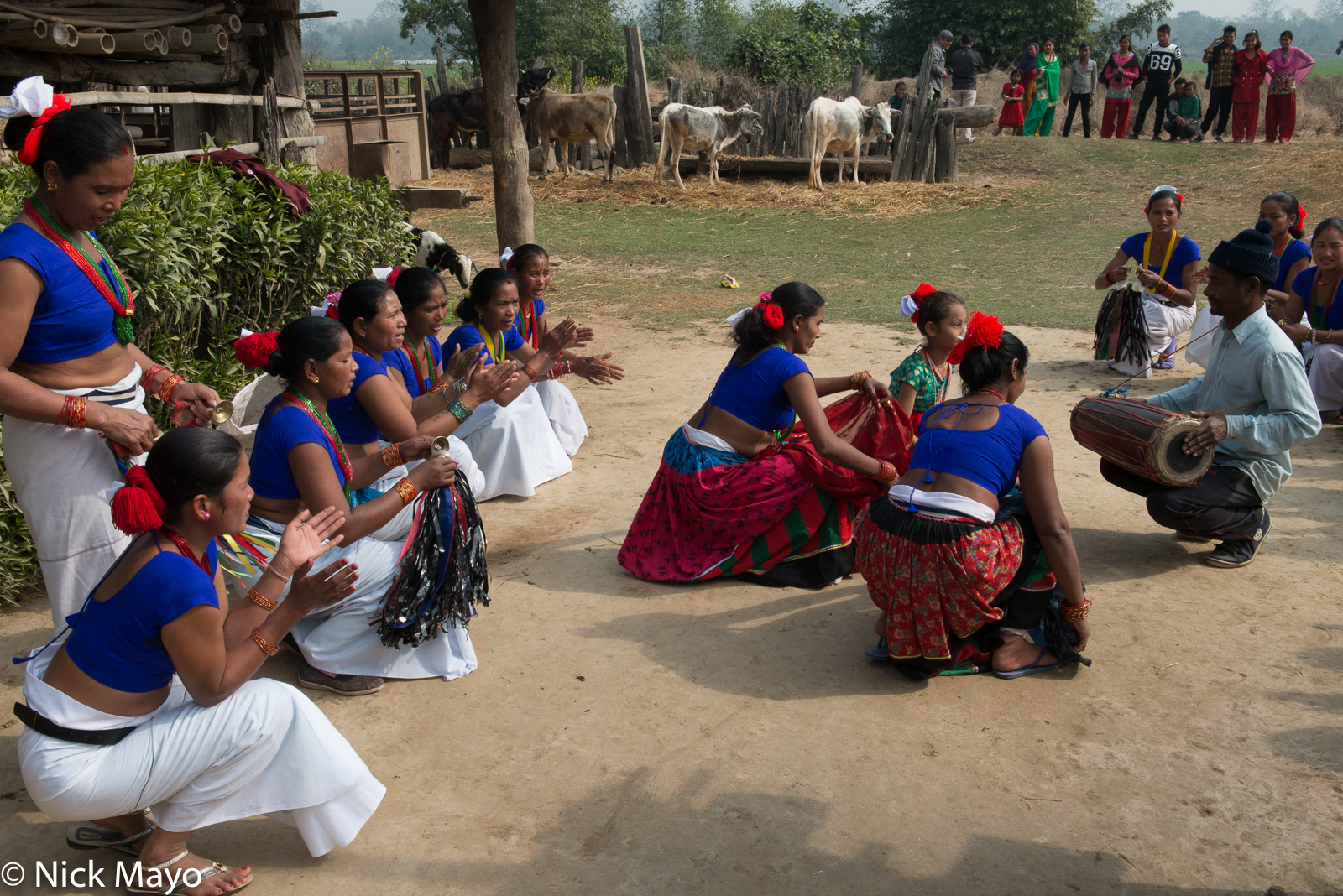 Tharu women, some holding handbells, sing and dance to the accompaniment of a drummer during the Maghi festival at Patela.