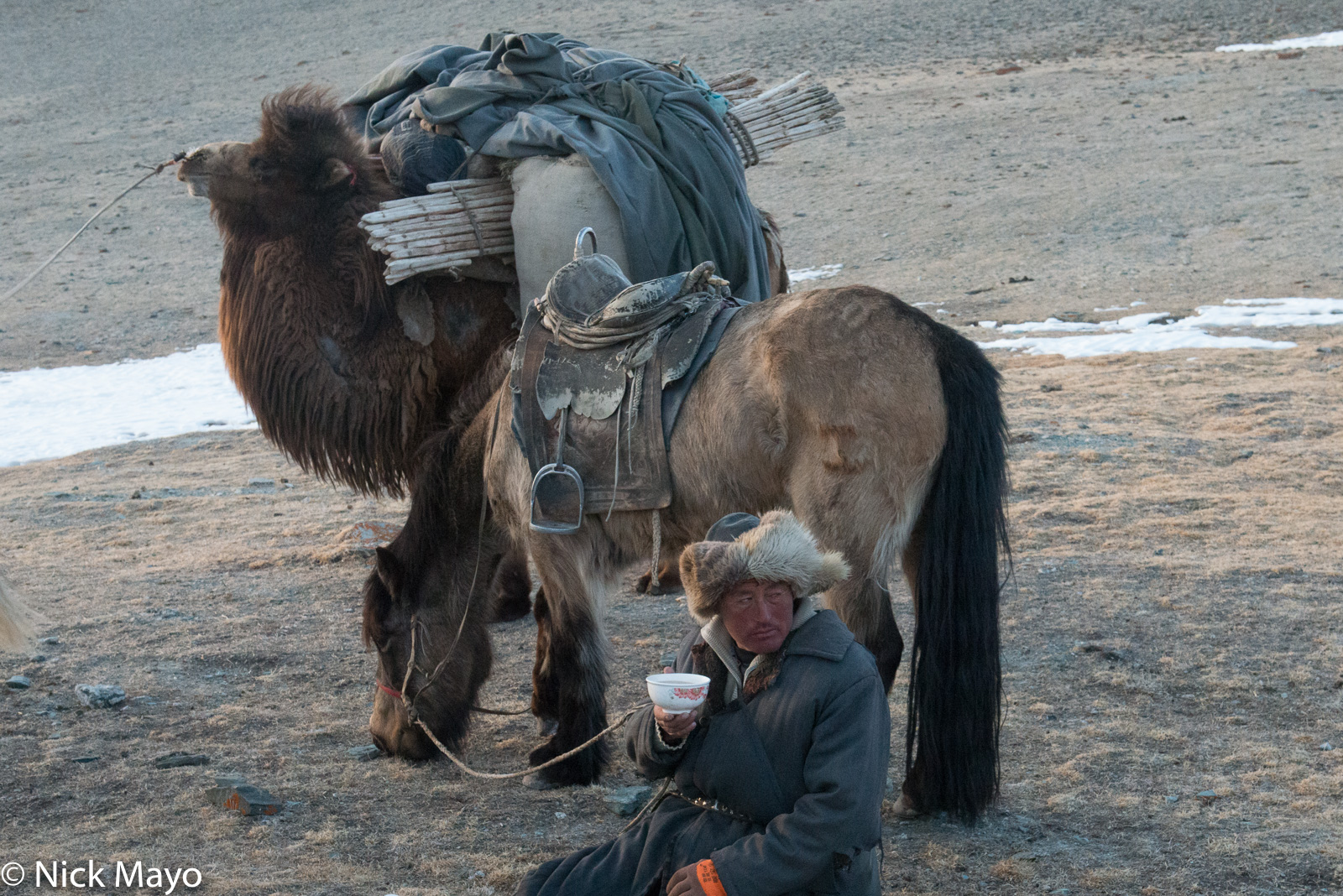 On an intensely cold day in Sagsai sum, a Kazakh herder drinks tea during a break in the spring migration while his horse and...