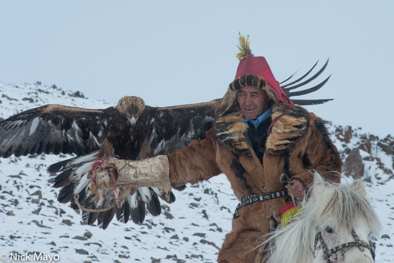 A hunting eagle returning to its Kazakh master in Ulaakhus sum.