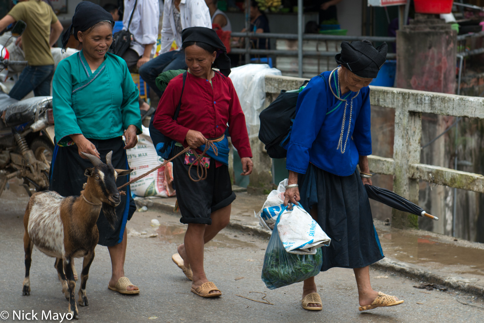 Three Nung (Zhuang) women walking home from the Sunday Su Phi market with a newly purchased goat.