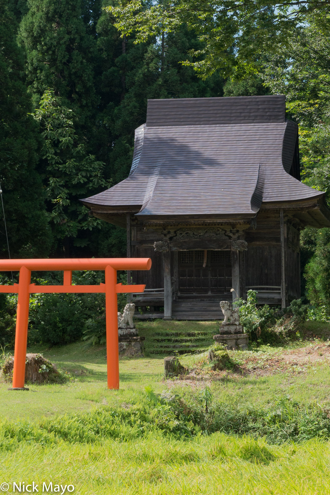 A shrine and torii gate near Matsunoyama.