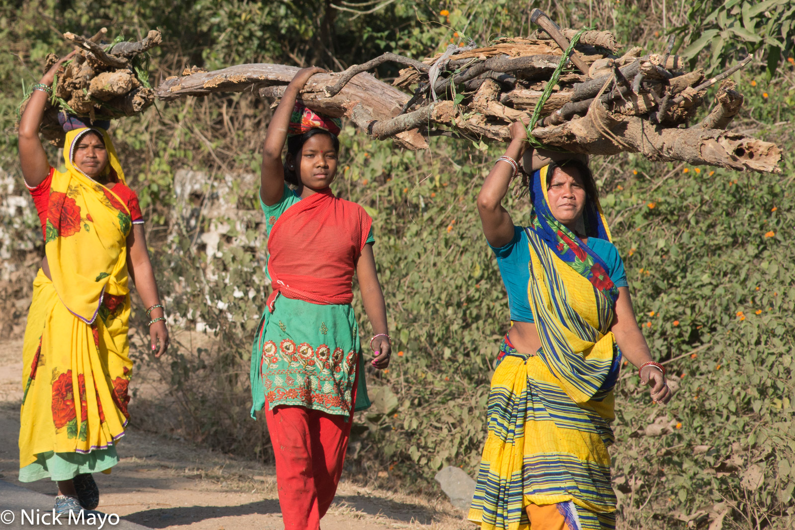 Women carrying firewood home at Bandhavgarh.