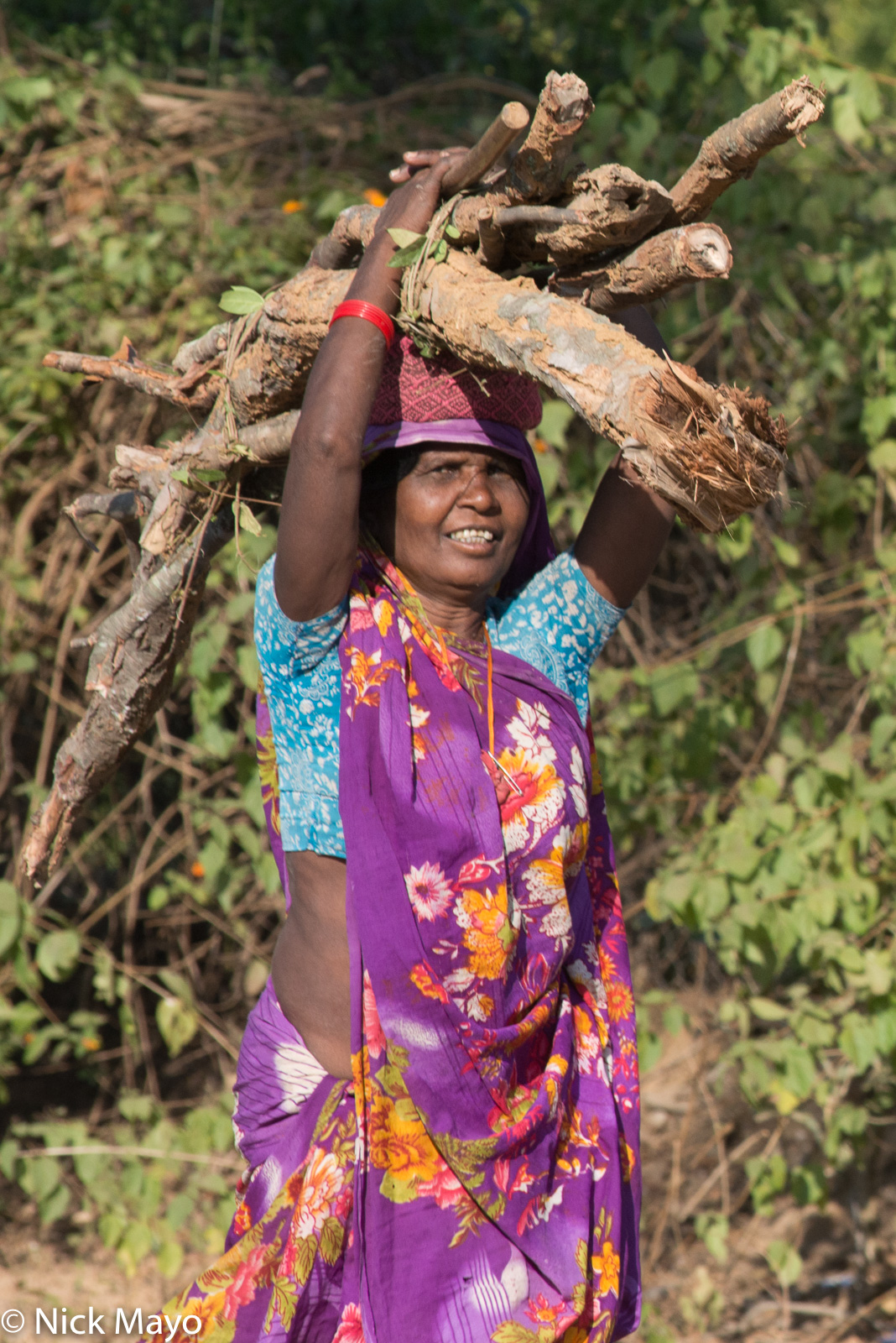 A woman carrying firewood home at Bandhavgarh.