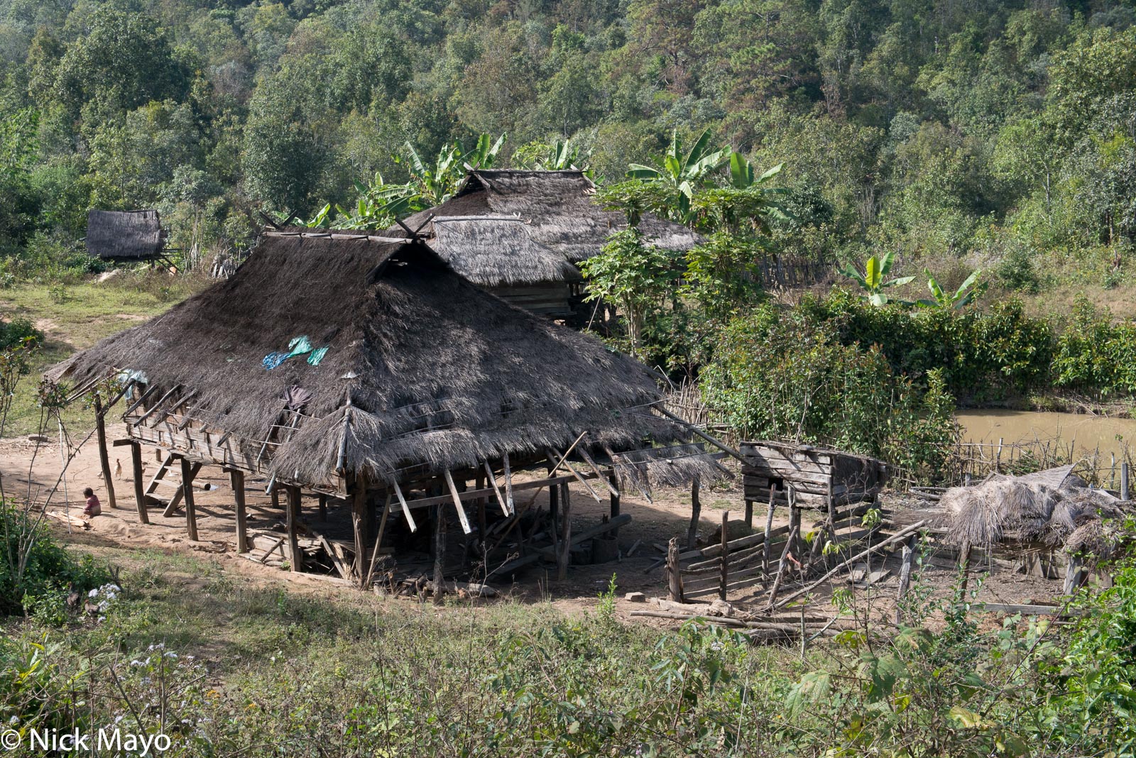 Thatched houses in the Akha village of Don Gi.