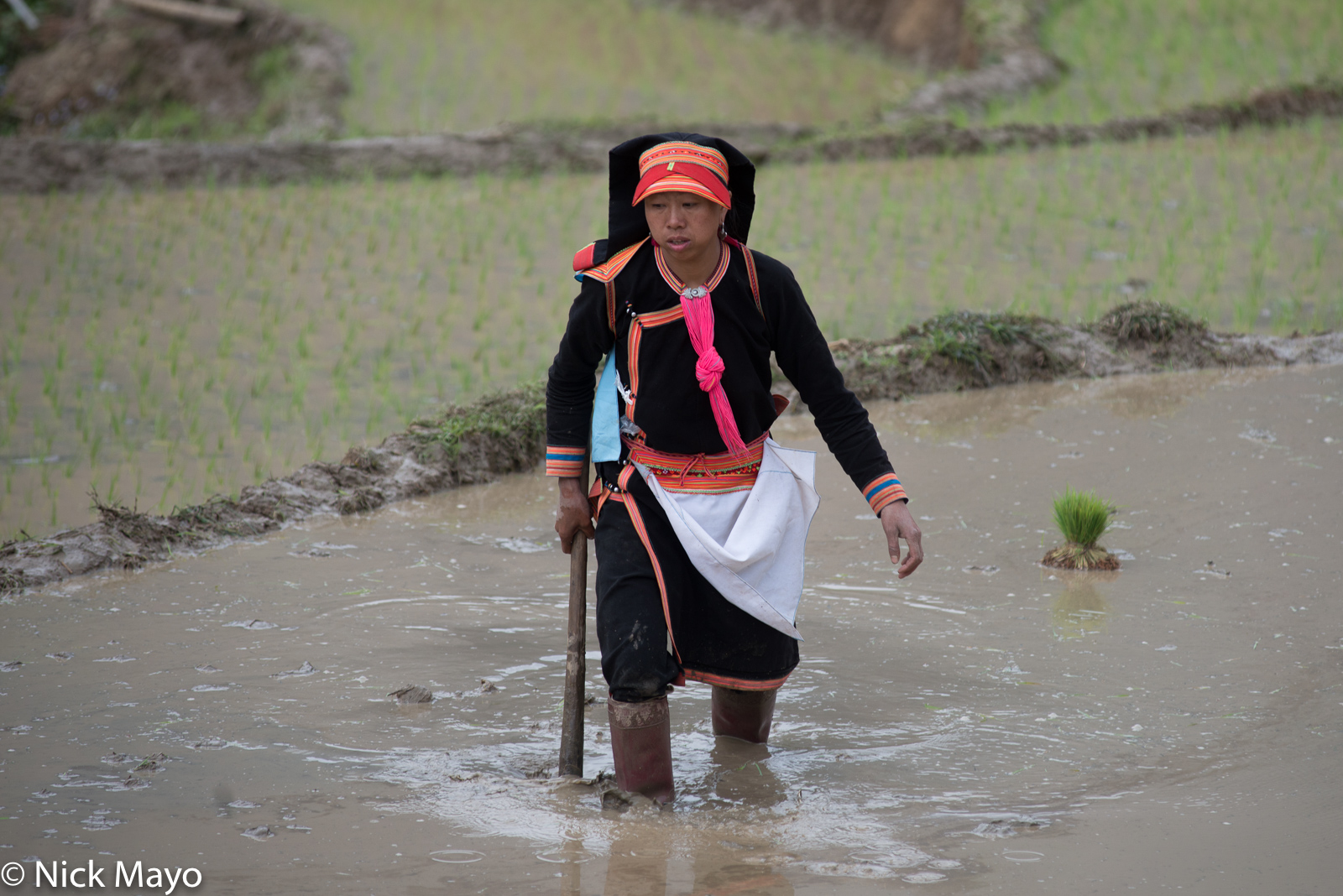A Black Dao woman with her mattock in a field at Pocha.