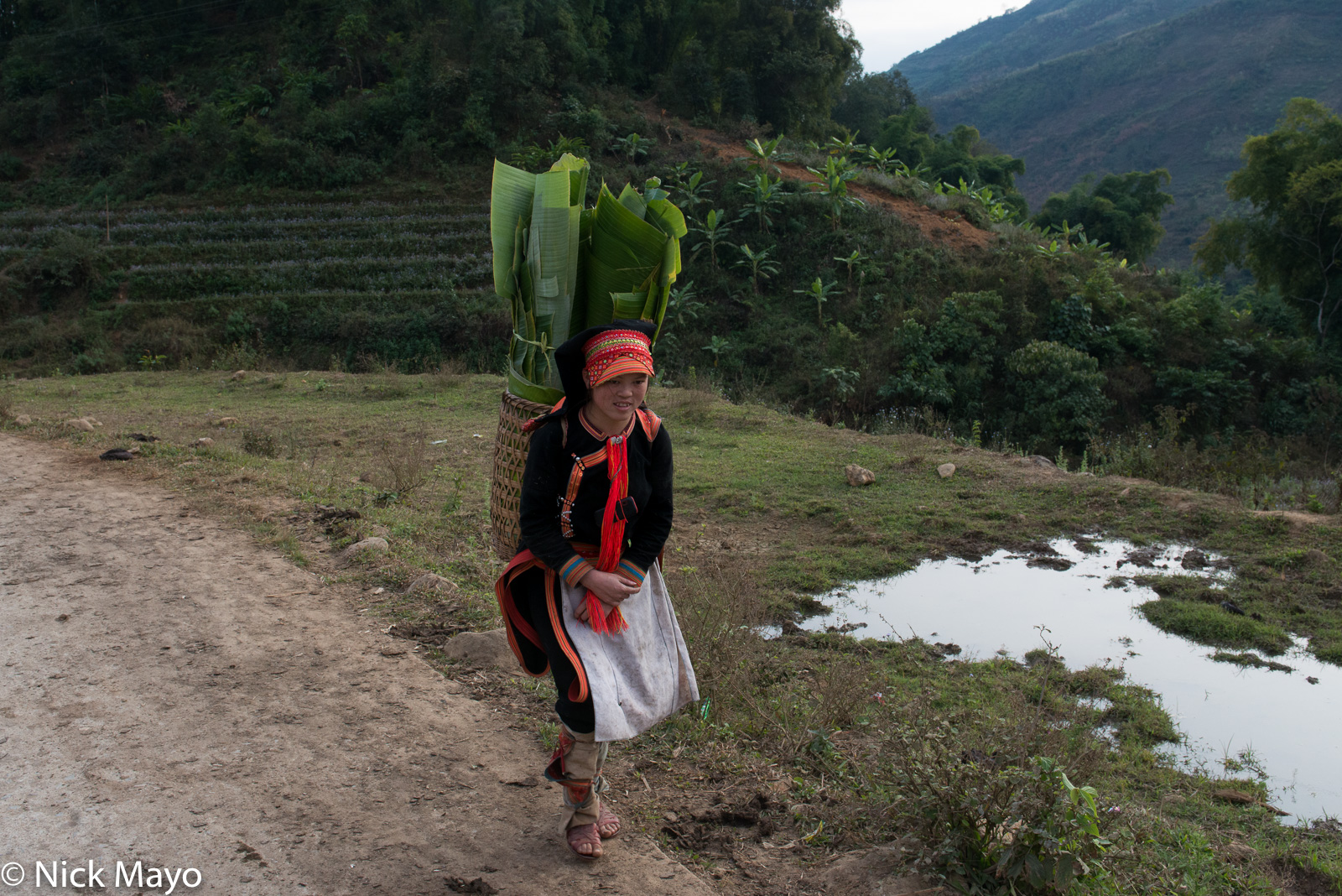 A young Black Dao girl from Pocha using a backstrap basket to carry home banana leaves for use as animal fodder.