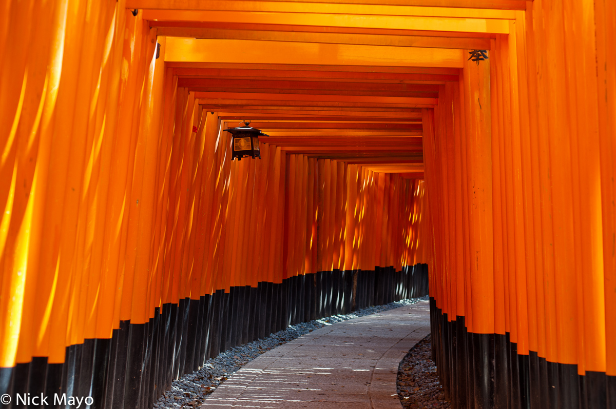 Torii gates on the hill behind the Fushimi Inari shrine.