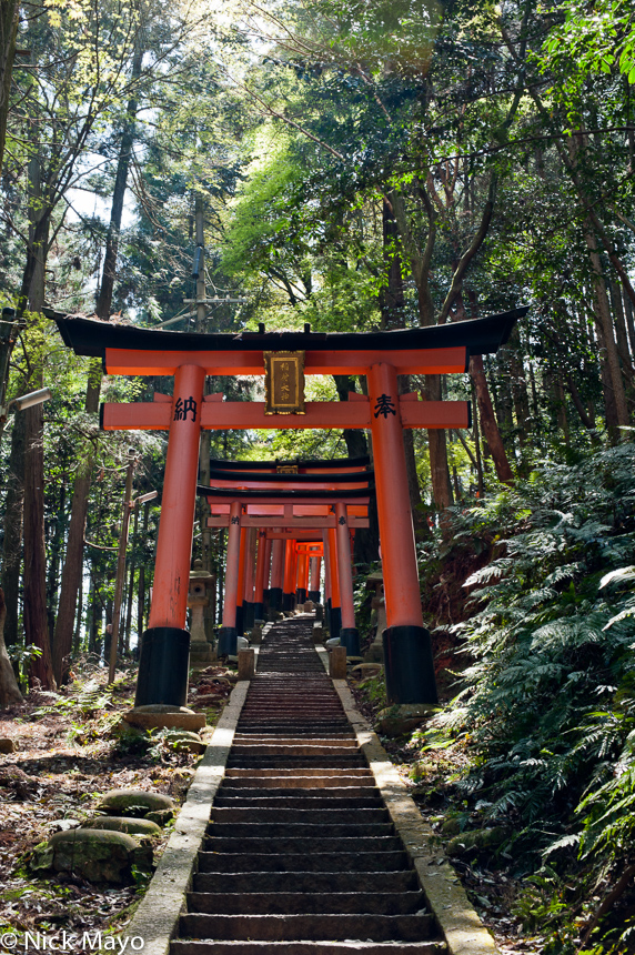 Torii gates over a stairway on the hill behind the Fushimi Inari shrine.