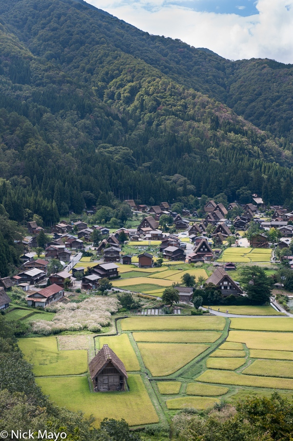 The village of Shirakawa and its thatched roof gassho houses.