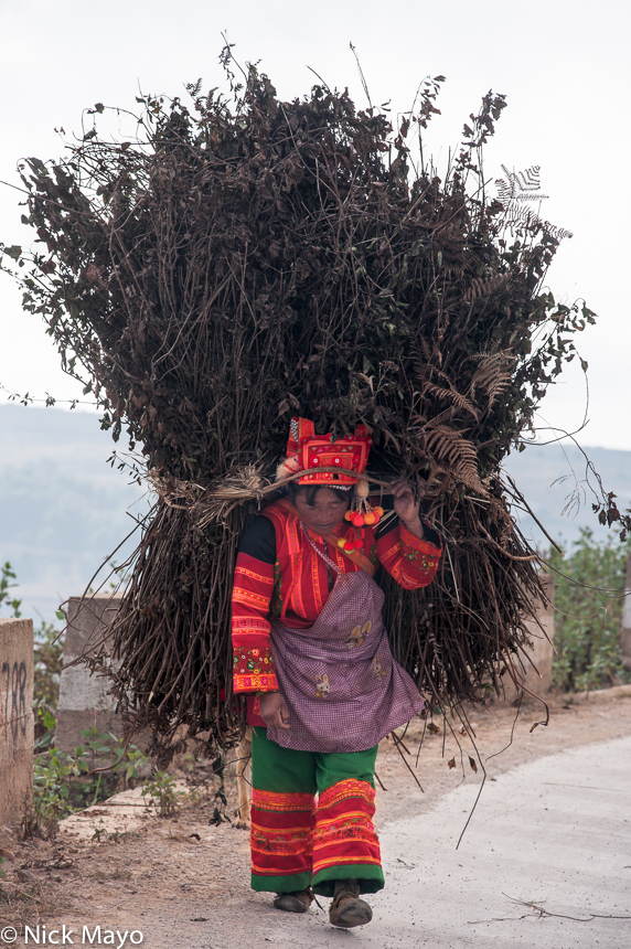 A Xibeile Yi woman, in traditional clothes and hat, carrying a load of dried grasses.
