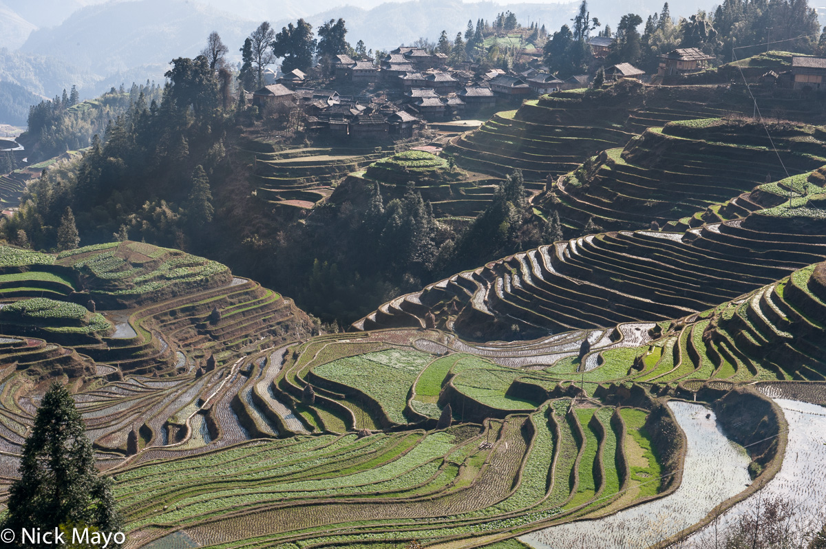 Bai Li village and its terraced fields.