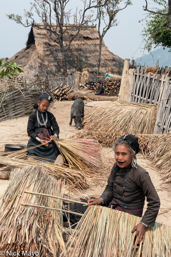 Two Eng women preparing thatch at Ban Nong village accompanied by a pig.