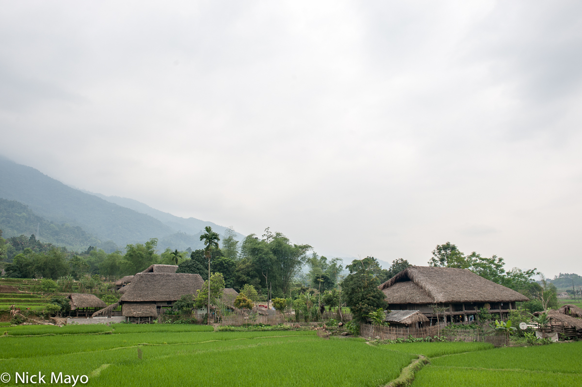 Thatched farmhouses among the paddy fields at Na Khum.