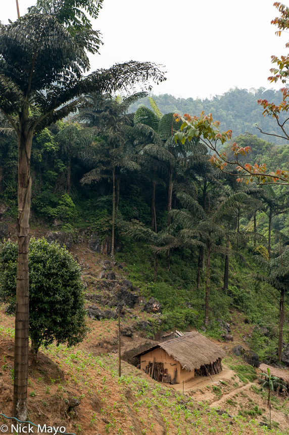 An old mud brick thatched farmhouse near Tung Vai.