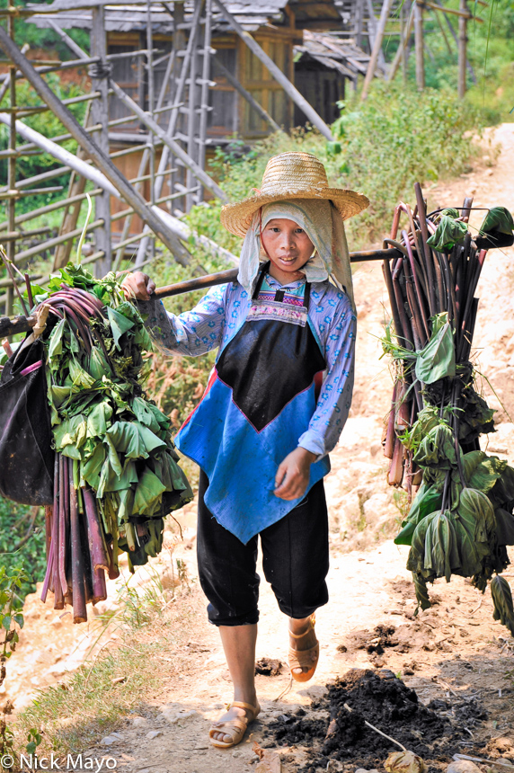 A Dong woman returning home to Wuei carrying fodder on a shoulder pole.