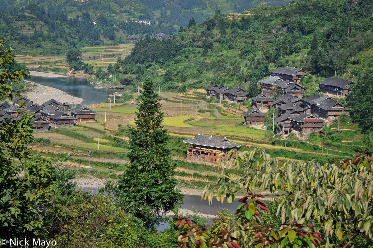 The village of Gan Bien, set amongst ripening paddy fields, at harvest time.