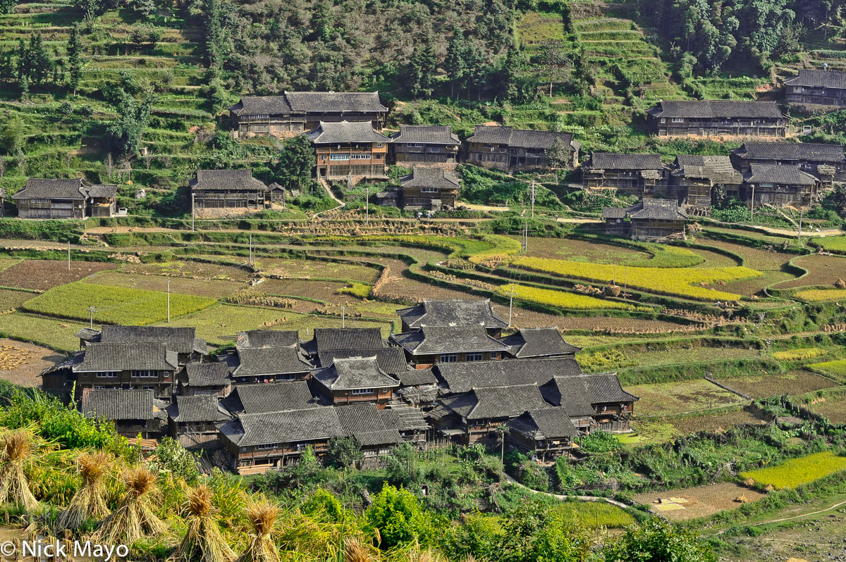 The grey tiled roof village of Gan Bien, set amongst ripening paddy fields, at harvest time.