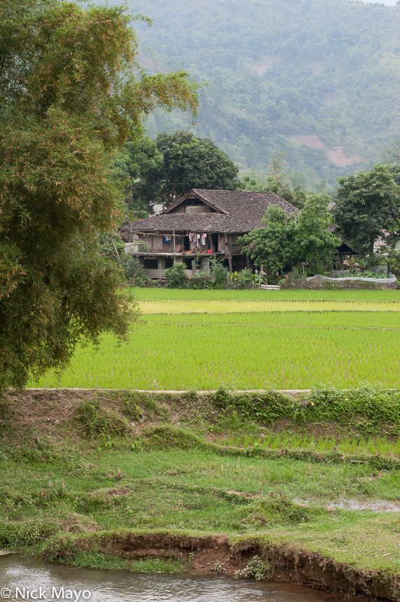 A Thai house behind the paddy fields at Mae Due.