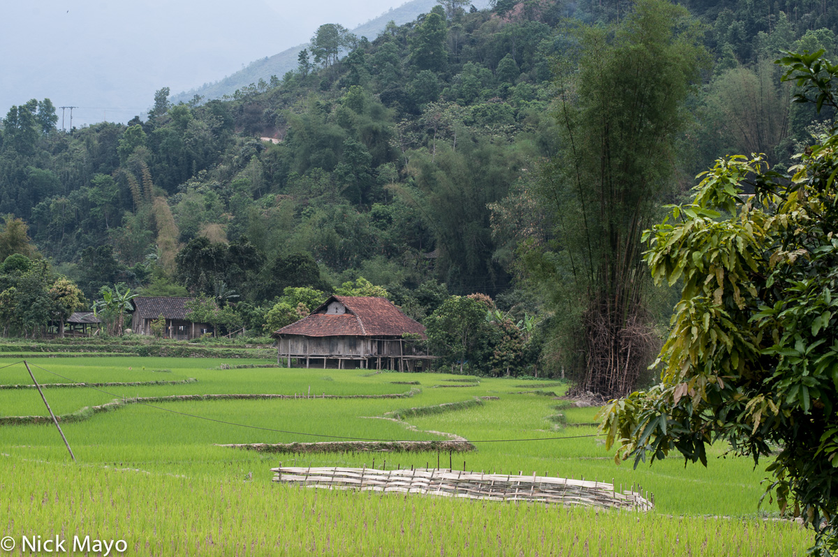 A Thai house at the edge of the paddy fields at Mae Due.