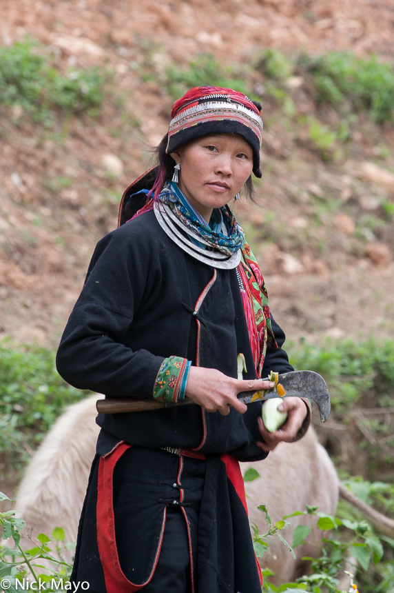 A Dao Ao Dai (Yao) girl, in traditional dress and hat, slicing fruit with a machete near the village of Poao Kat.