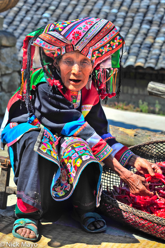 A traditionally attired Lisu woman sporting long earrings and wearing an embroidered apron and turban sorting chillies in the...