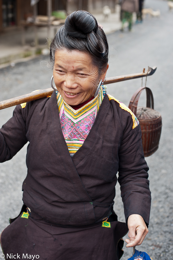 A Kazhai Miao woman with oversized earrings carrying a gift by shoulder pole to a baby shower.