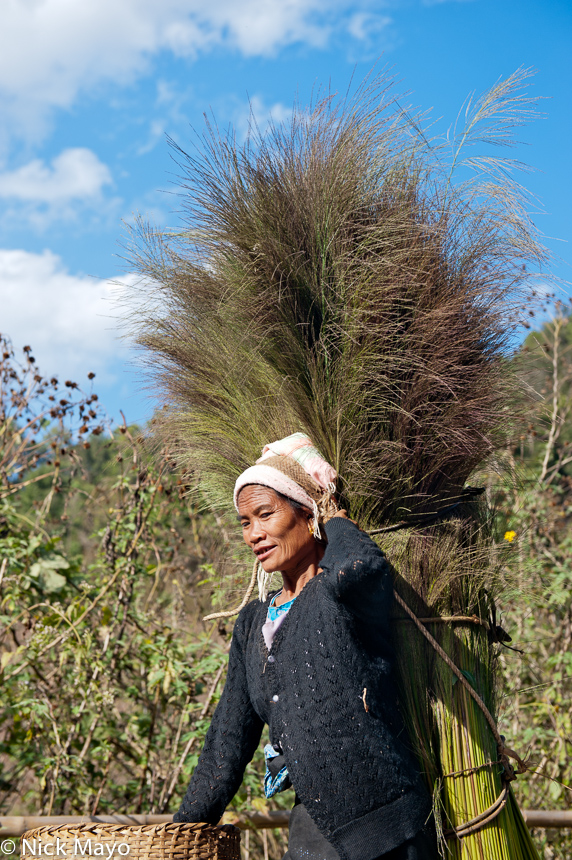 A Bulang woman using a backstrap basket to carry feathered grass home to Bulangshan.