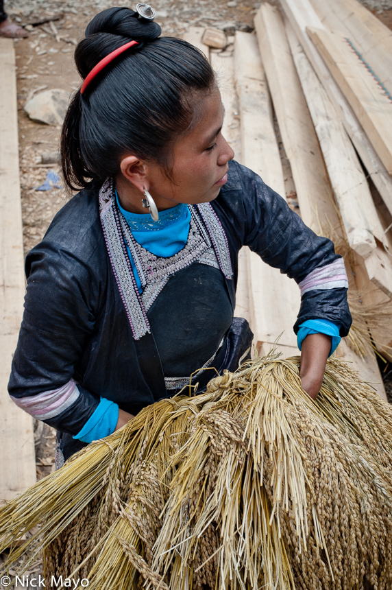 A traditionally dressed black Miao woman presenting a gift of unthreshed paddy rice at a housewarming in Chai Li.