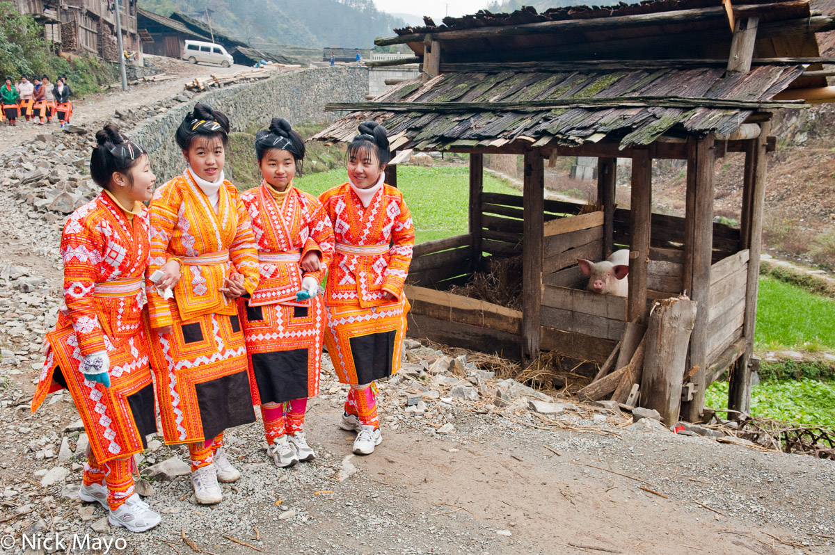 Four Miao girls walking past a pig pen on their way to a wedding in the village of Kazhai.