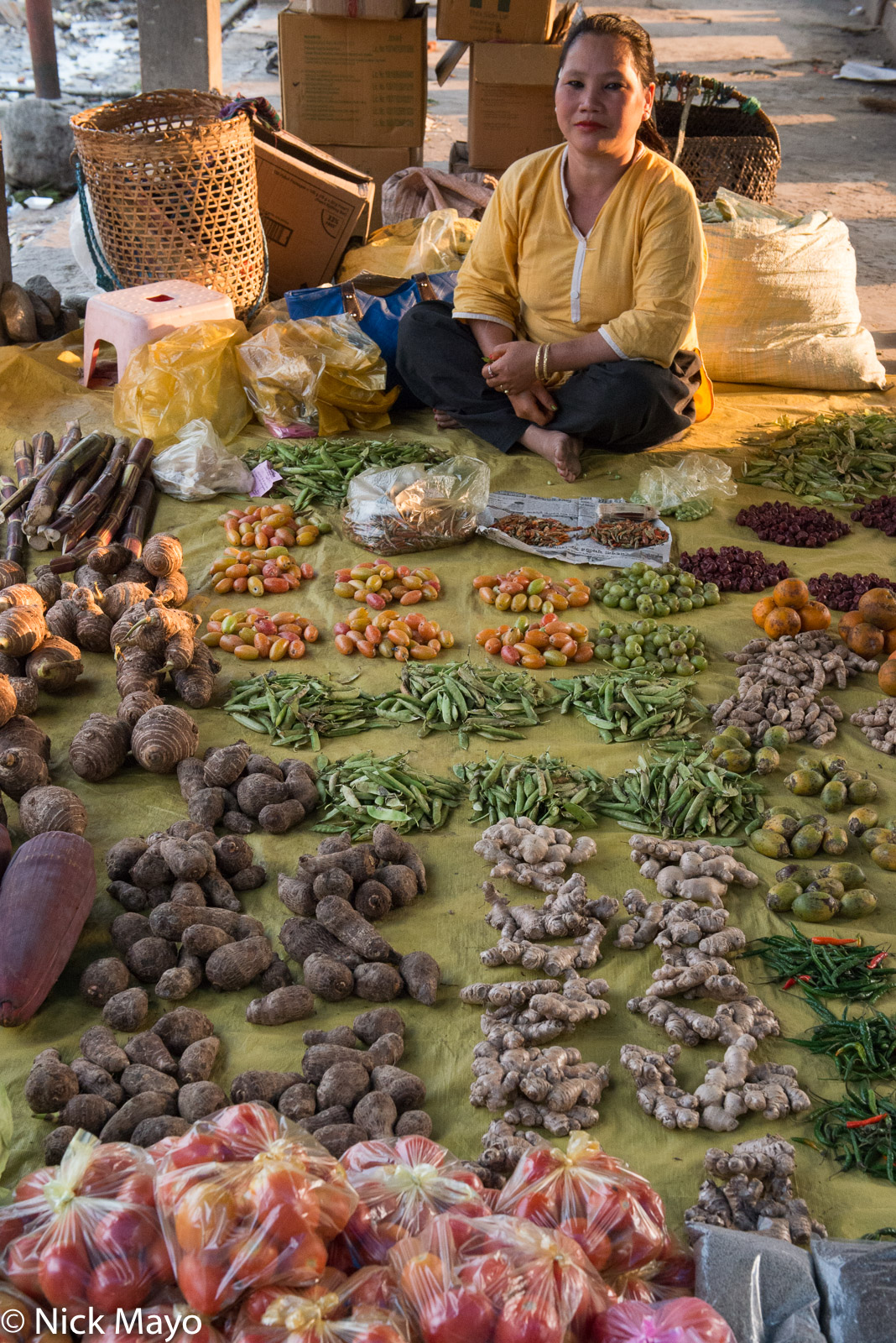 An Adi woman selling vegetables in the market at Roing.