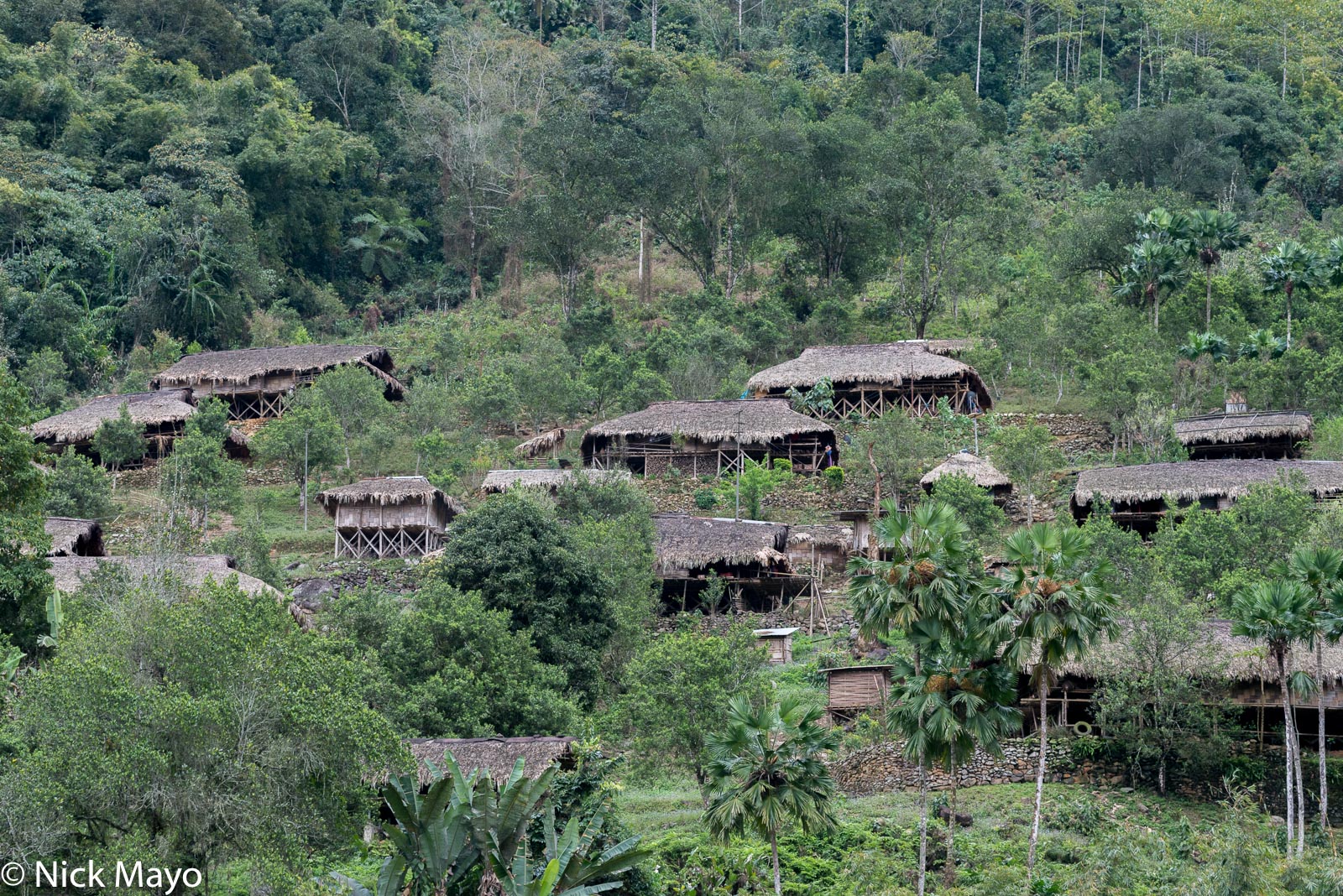 The thatched Adi Minyong village of Lokpeng.