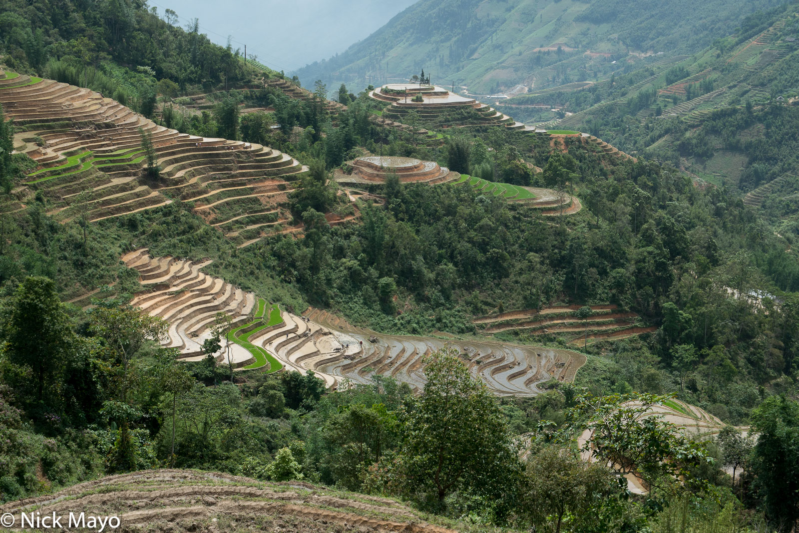 The terraced paddy fields at Muong Sen just before rice planting.