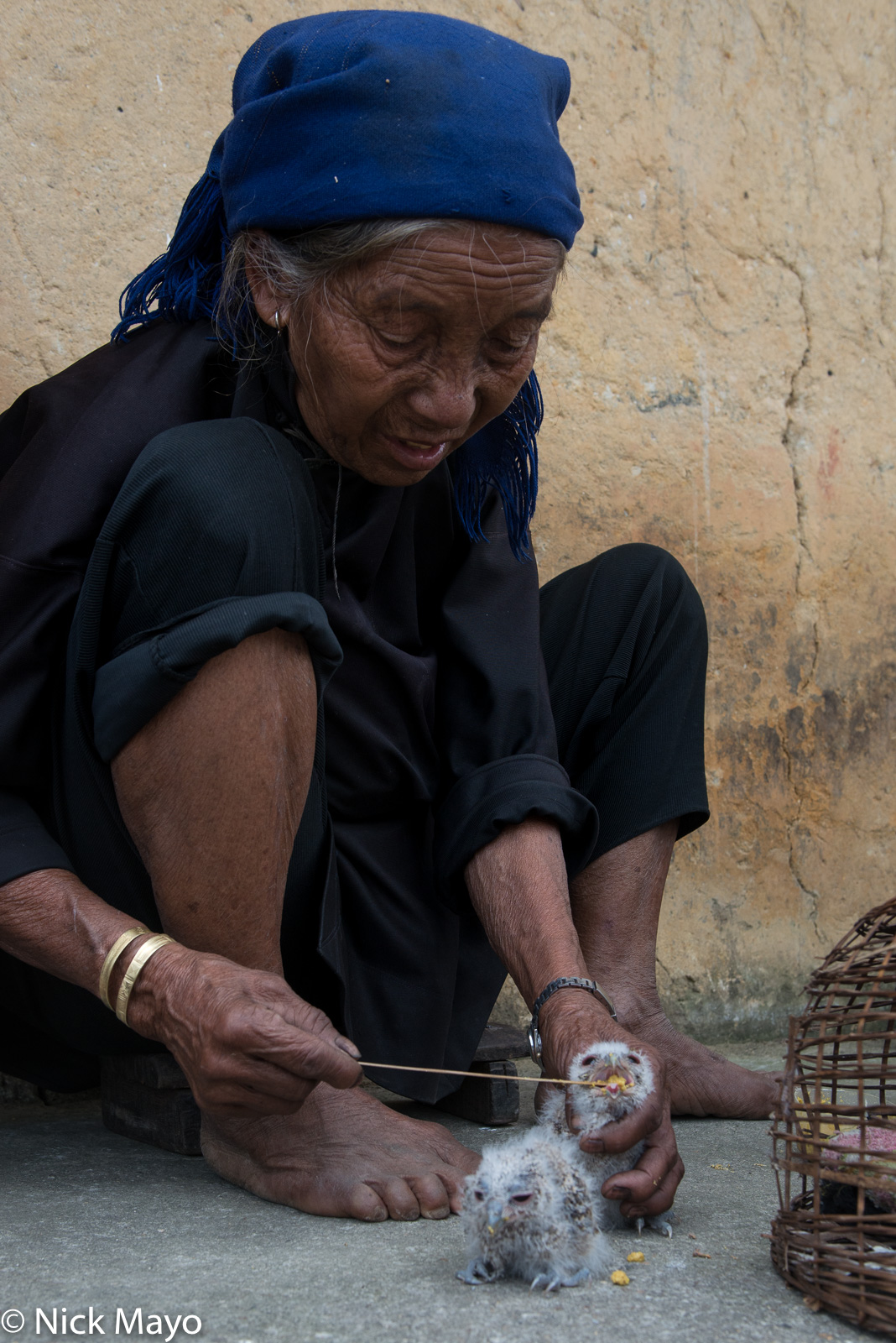 A Hani woman feeding young birds at Kin Chu Phin.
