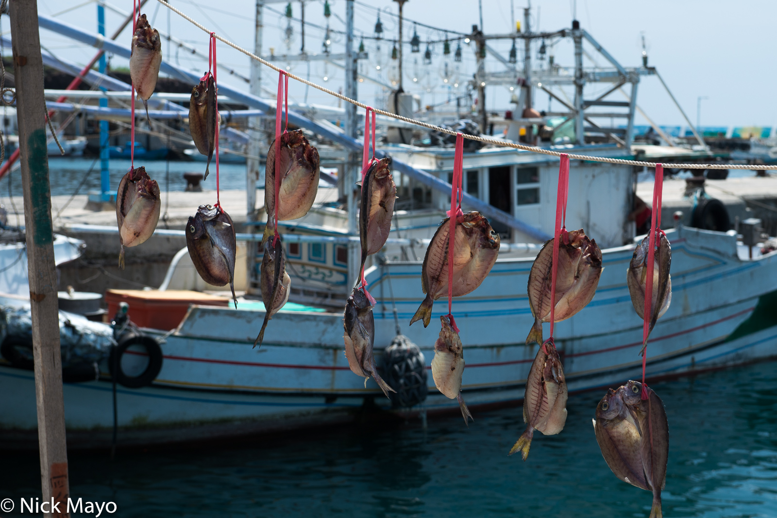 The fish catch hung to dry by the harbour in Jiang Ciang.