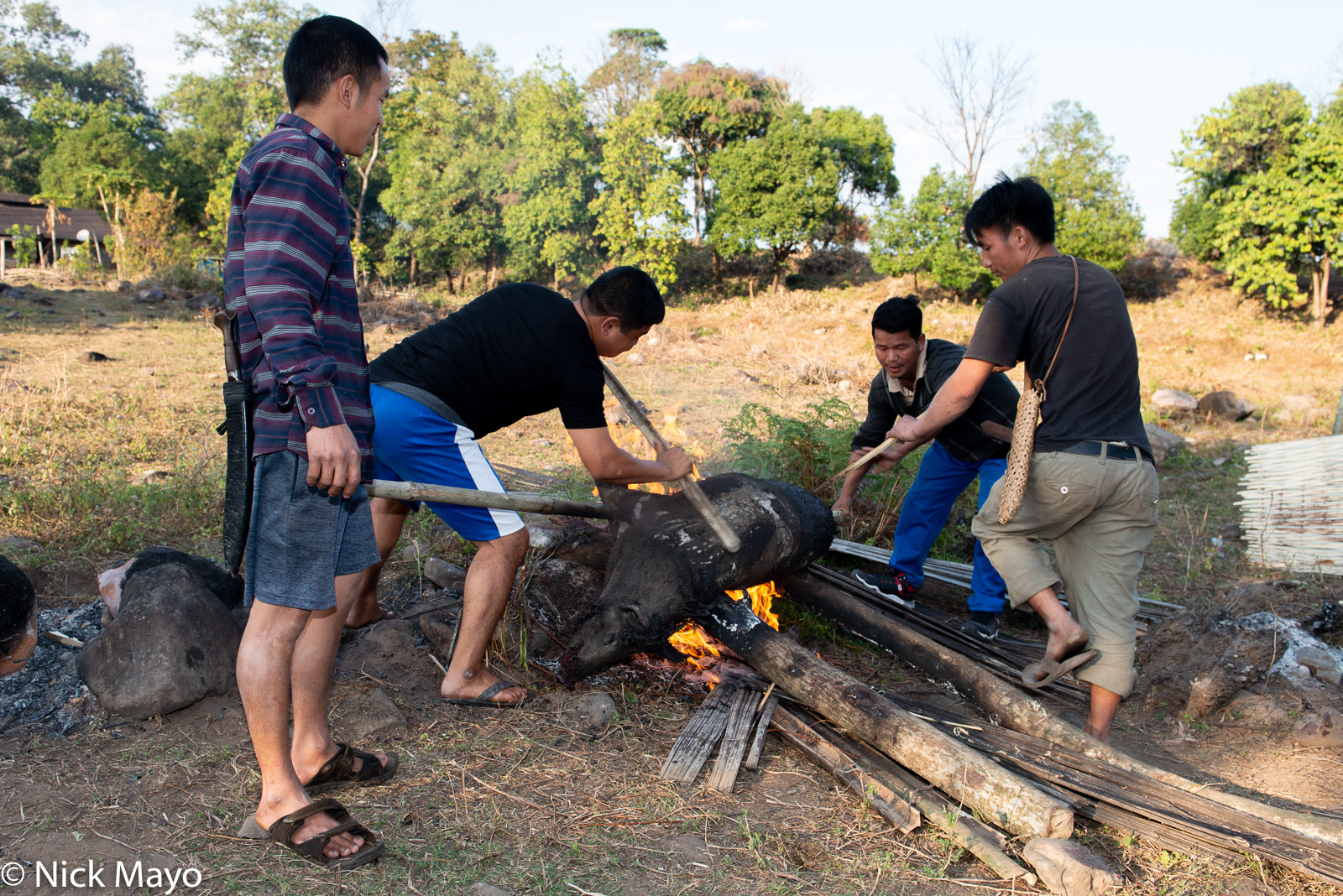 Idu Mishmi men preparing a pig for cooking on an open hearth at the Reh festival in Aohali.