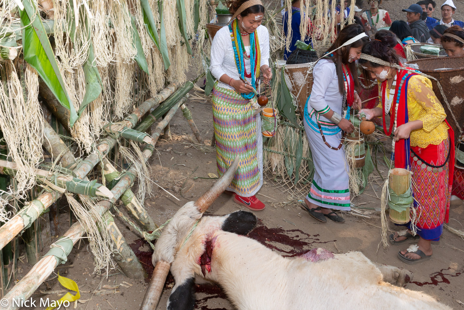 A Nyishi woman at the Tamen Boori Boot festival about to perform a purification ritual for a freshly killed mithun in front of...