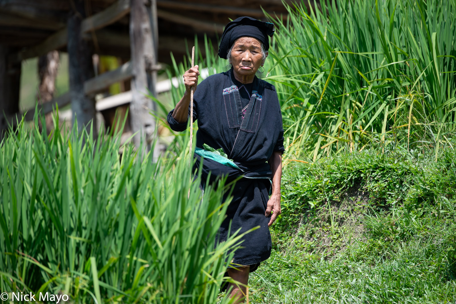 An older La Chi woman at Ban Phung.