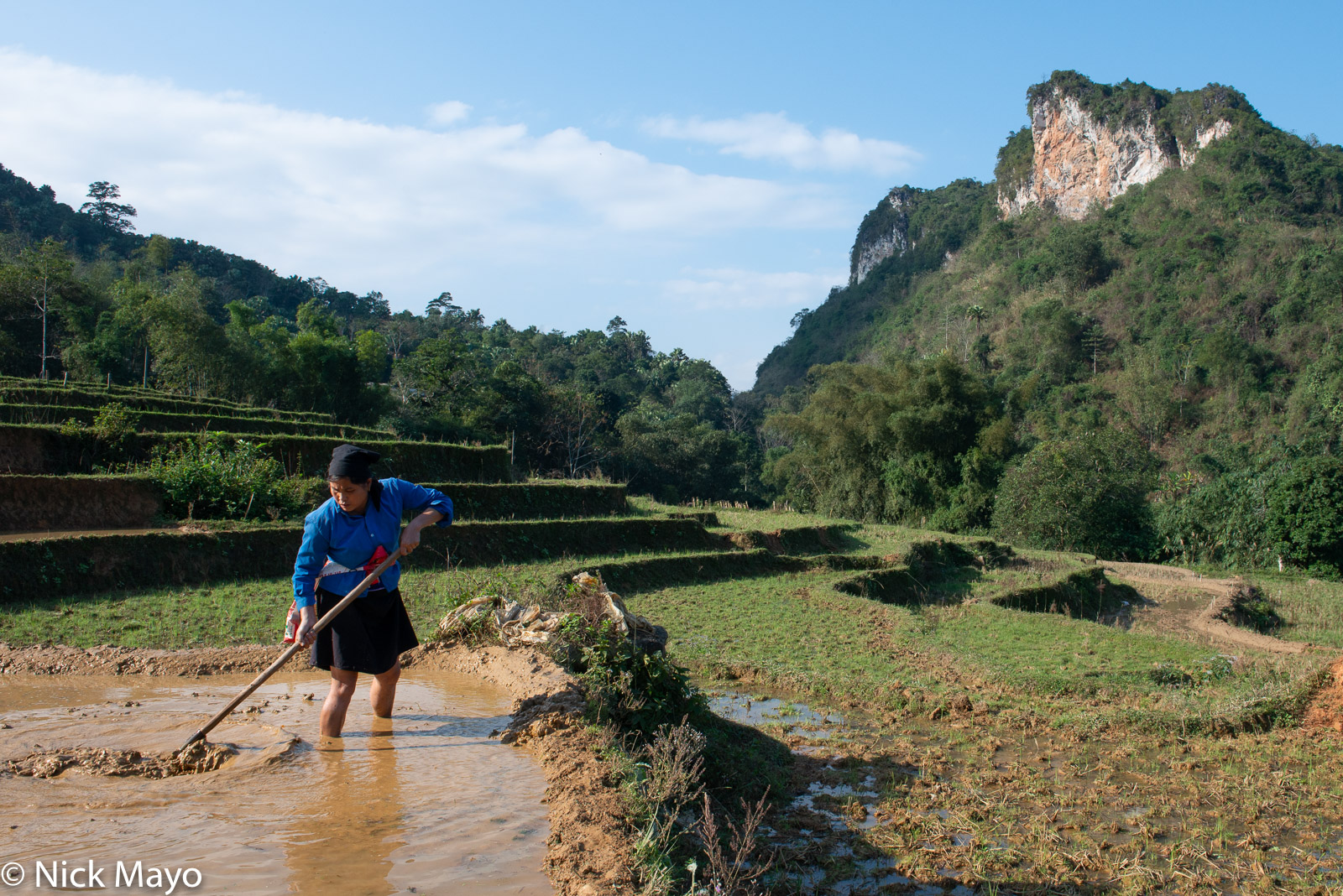A Tay (Zhuang) woman digging mud from her field outside the village of Thon Tha.