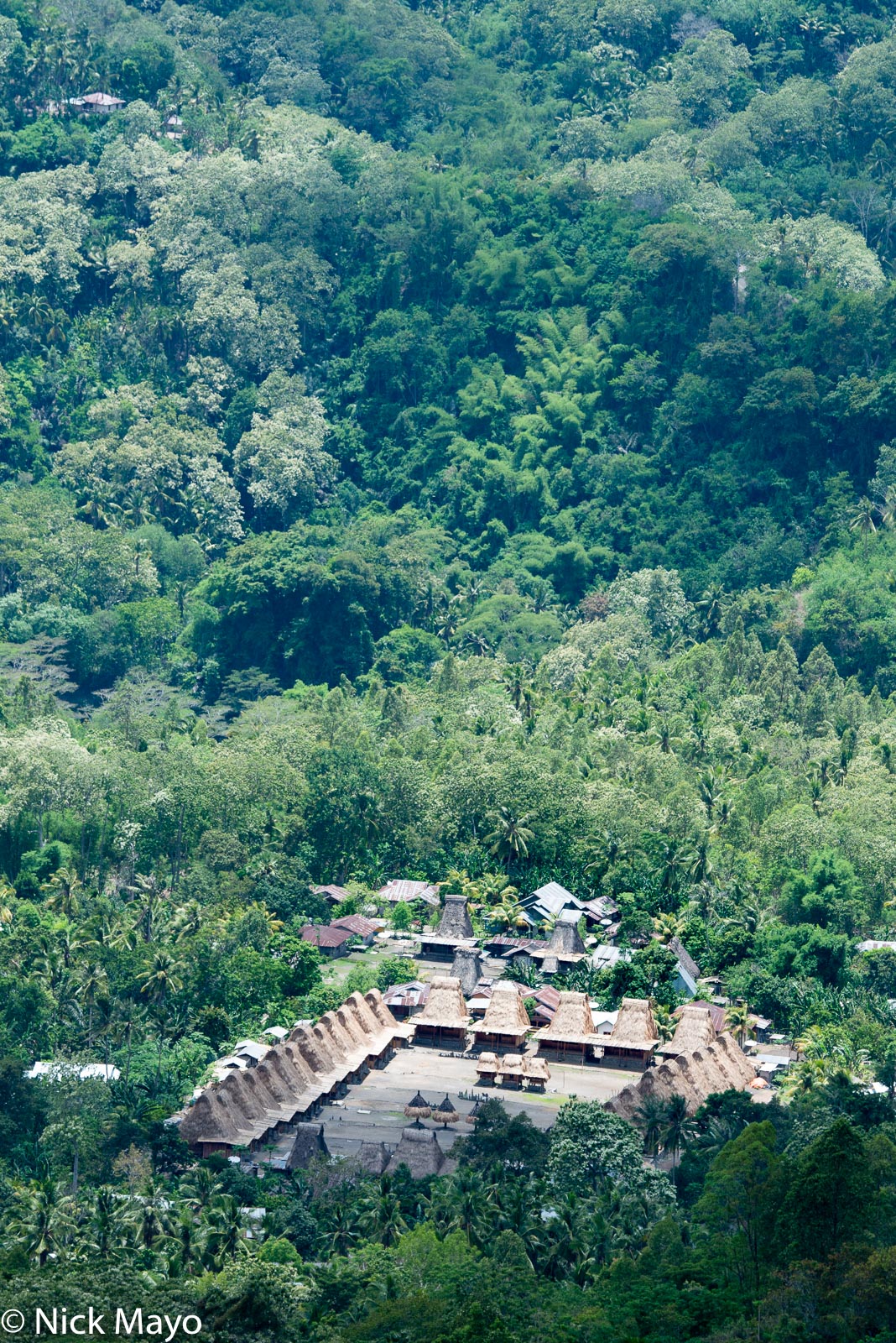 The thatched roof village of Garusina with its clan bhaga and ngadhu in Ngada Regency.