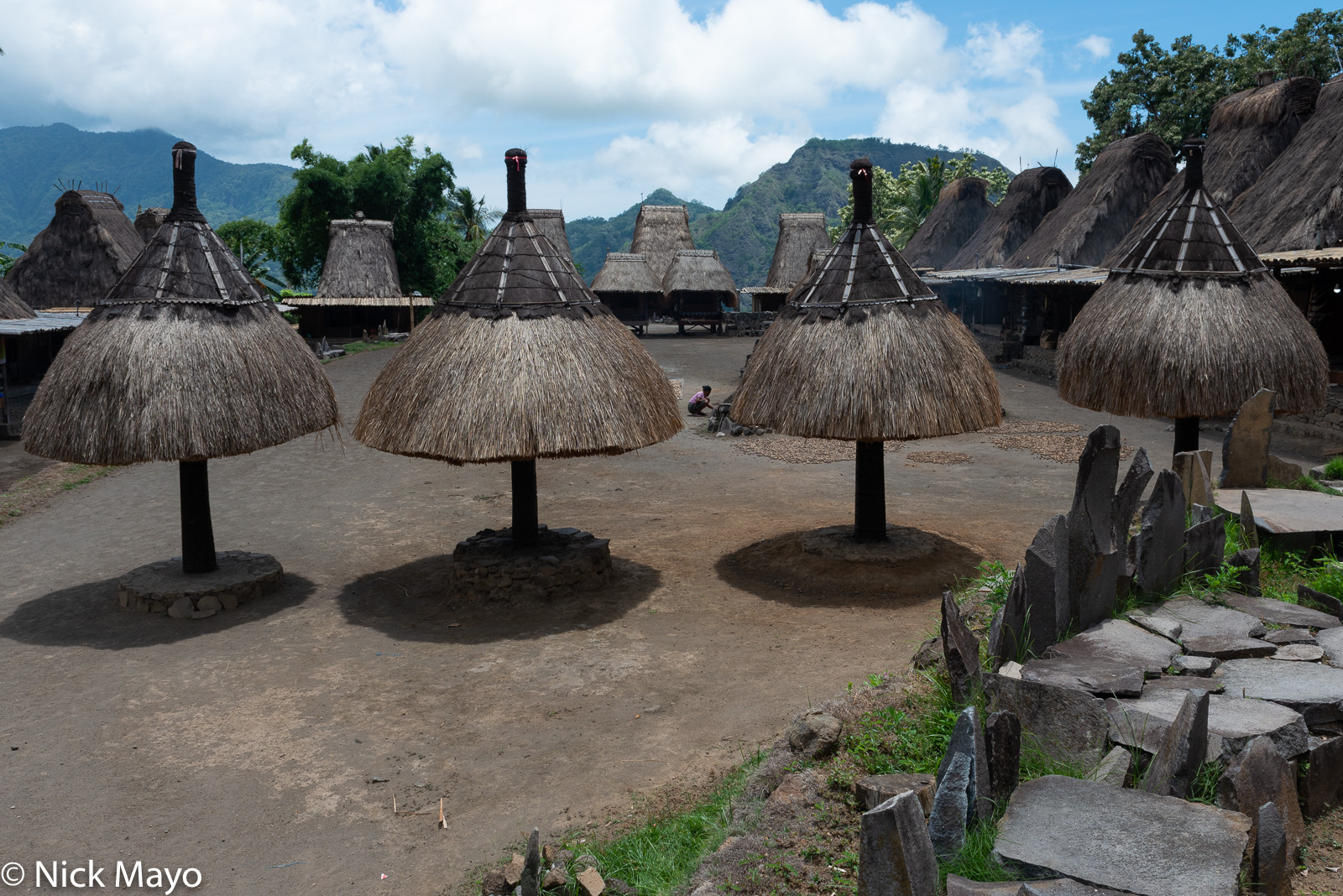 Clan bhaga and ngadhu and a watu lewa (stone altar) in the thatched roof Ngada Regency village of Tolelela.