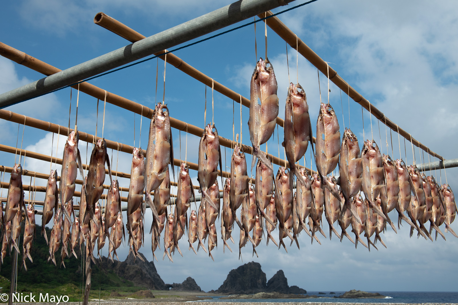 Flying fish catch hung to dry on Lanyu.