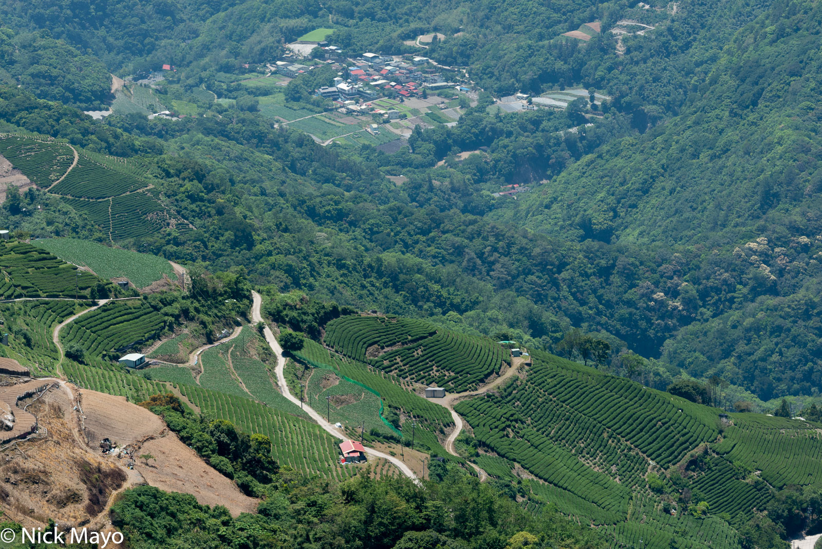 High altitude vegetable and tea fields above Cuilan village as viewed from Maliguan.