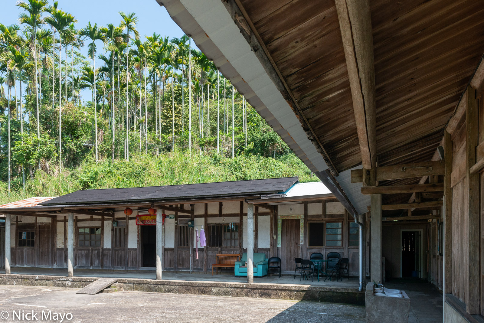 A wooden farmhouse below betel trees at Rueili.