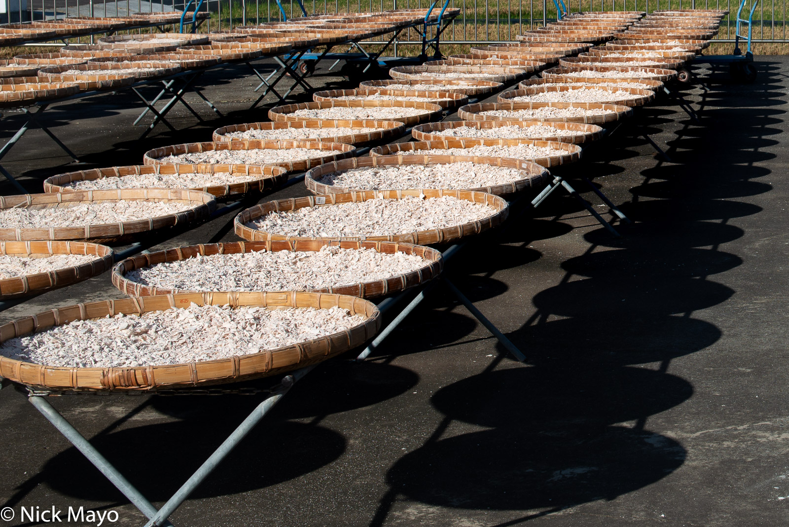 Lotus root drying in trays at Shanzihjiao in Tainan County.