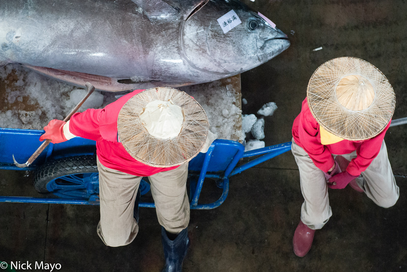 Two women sitting on a cart holding a recently landed tuna at Donggang fishing harbour.
